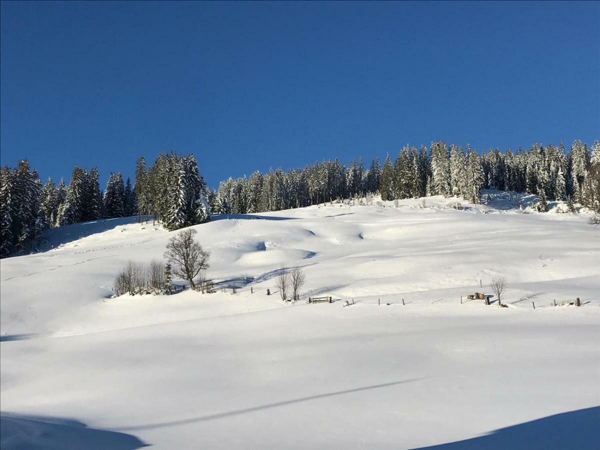 Bergpension Zinting Brixen im Thale